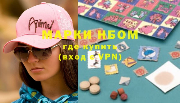 индика Алзамай
